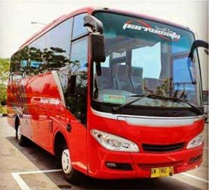 sewa bus pariwaisata murah padang