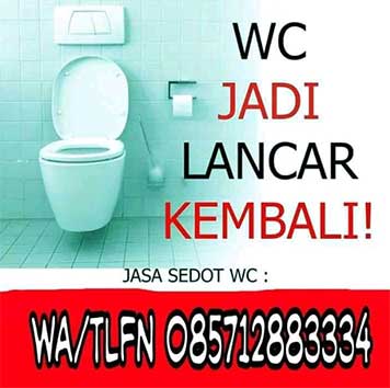 Jasa sedot wc brebes