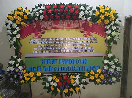 toko-bunga-lamongan-teratai (9)